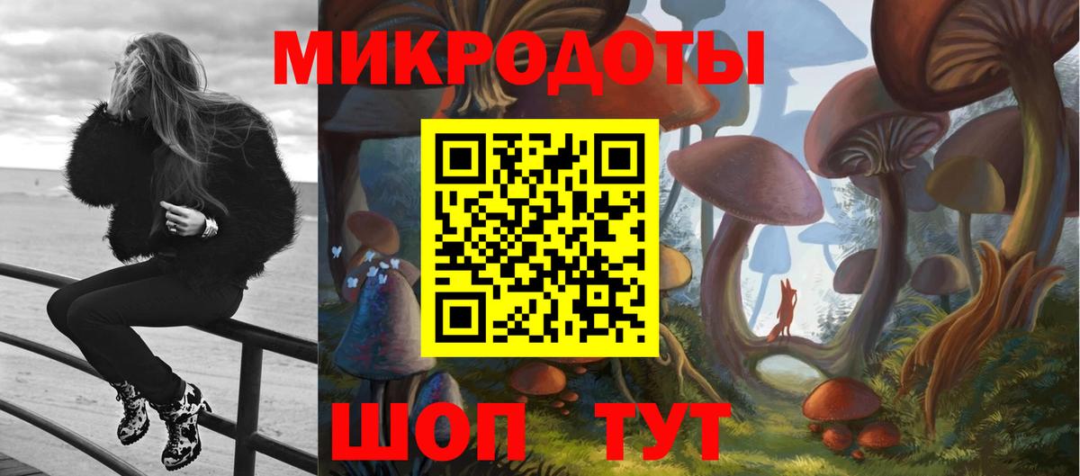 Михайловка  Галлюциногенные грибы прущие грибы  Вход с VPN  Галлюциногенные грибы Magic Shrooms 